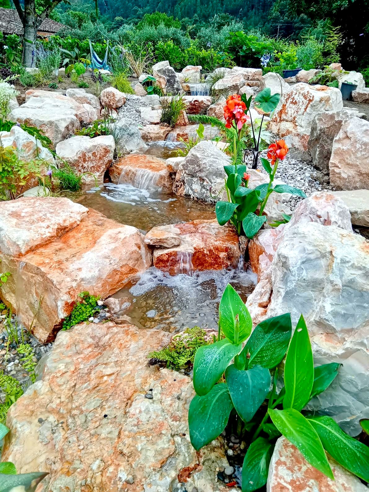 Hand-crafted stone waterfall stream feeding the pool, with tropical canna lilies — Miranda do Corvo, Portugal