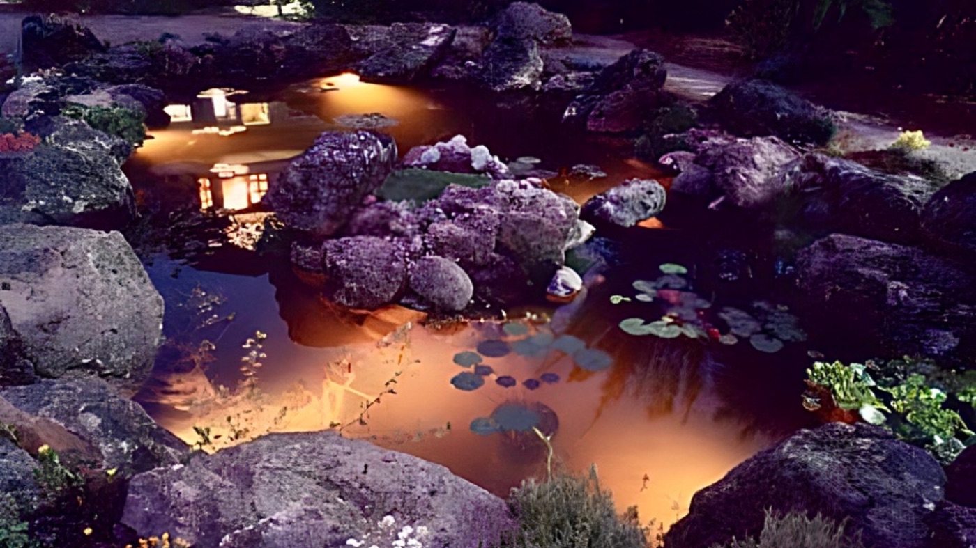 Koi pond at night with underwater lighting — Santa Cruz, California