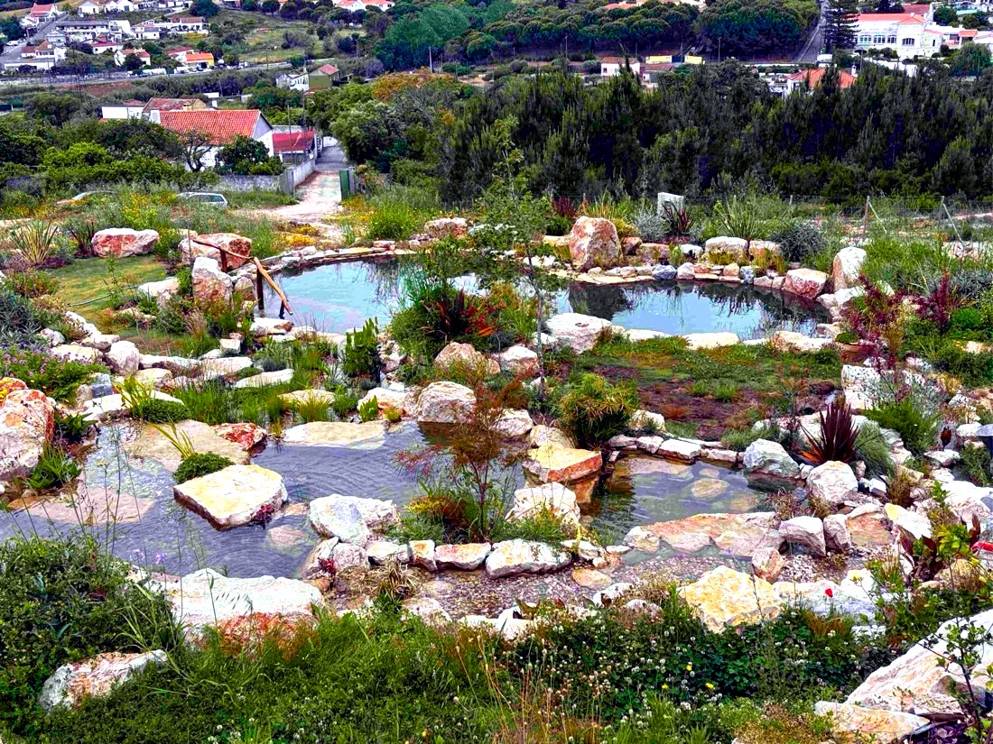 Aerial view of the full Lisbon Natural Pool Oasis — multiple linked pools set into the hillside