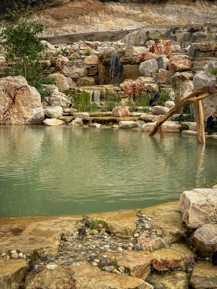 Natural wood entry ladder into the pool — Lisbon Natural Pool Oasis