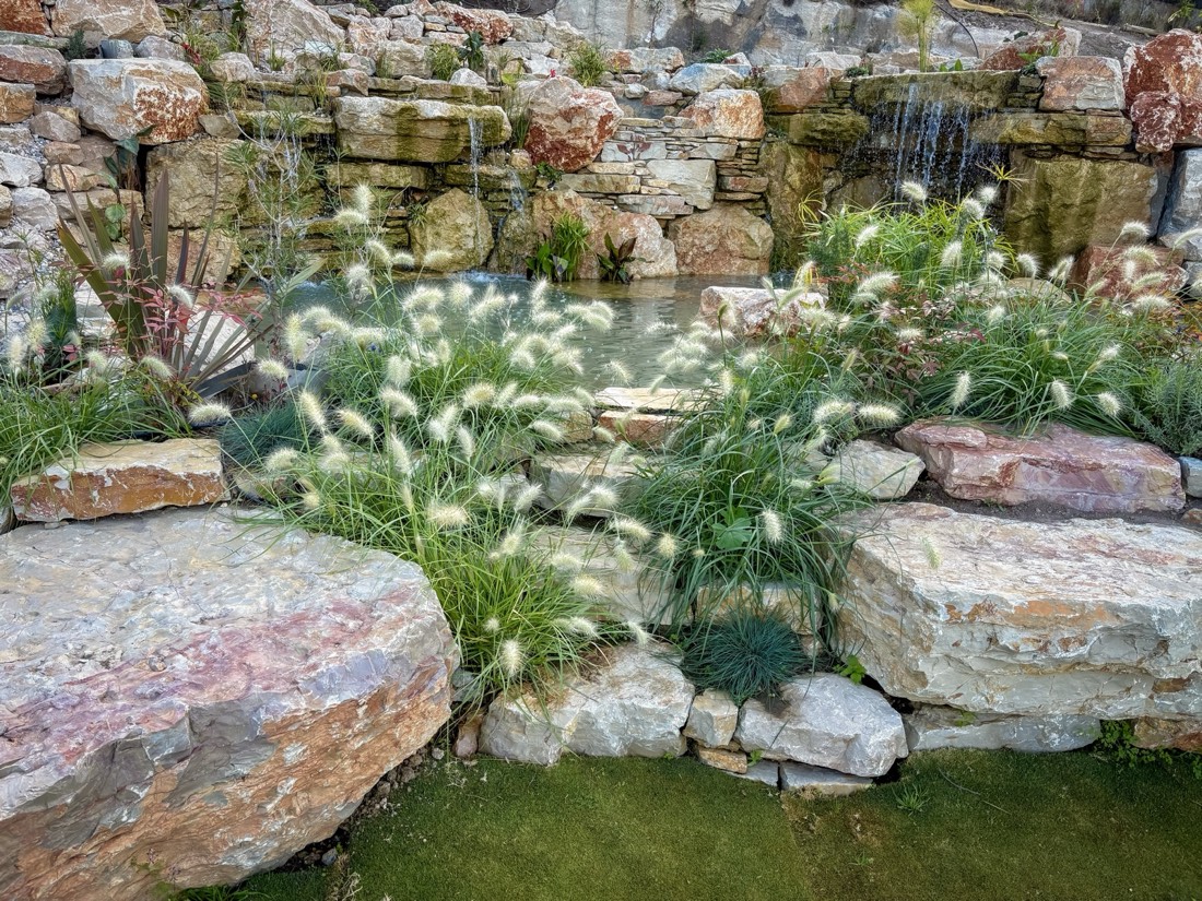 Naturalistic planting softening the stonework at Lisbon Natural Pool Oasis